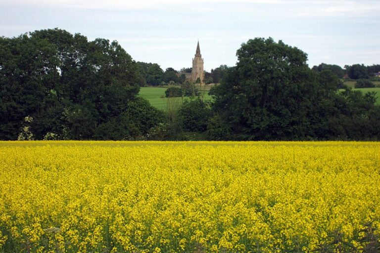 piddington migrant camp 2026 uk ecology surveys