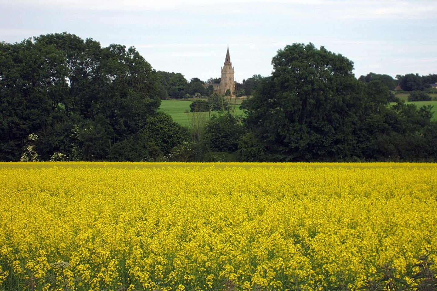 piddington migrant camp 2026 uk ecology surveys